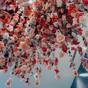 Meet your Posher, Anni